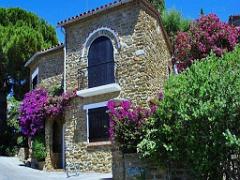 183 D24 BORMES LES MIMOSAS 2_000037